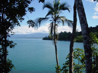 Pristine Bay and Jungle Property, Titled, Bocas del Toro - image 4