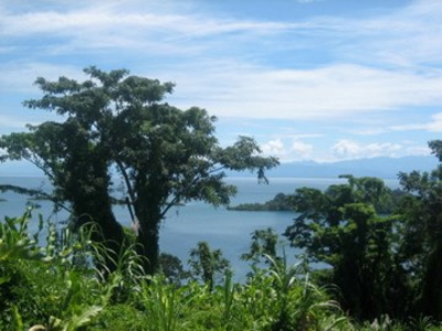 Pristine Bay and Jungle Property, Titled, Bocas del Toro - image 2