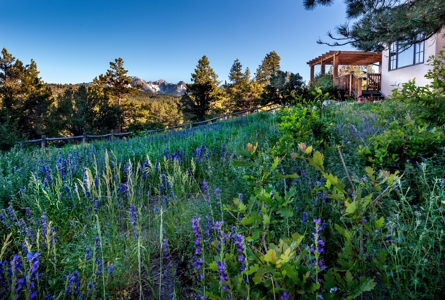 Mountain Recreation Residential Home For Sale Ridgway CO - image 23