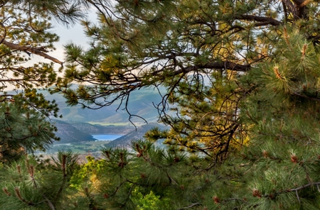 Mountain Recreation Residential Home For Sale Ridgway CO - image 18