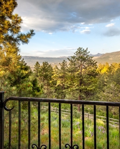 Mountain Recreation Residential Home For Sale Ridgway CO - image 17