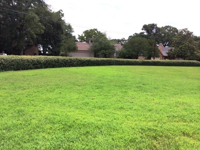 Lake Palestine Home In Cape Tranquility - image 43