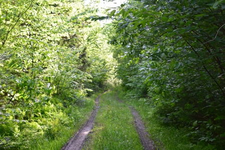 Maine Land for Sale in Garland - image 6