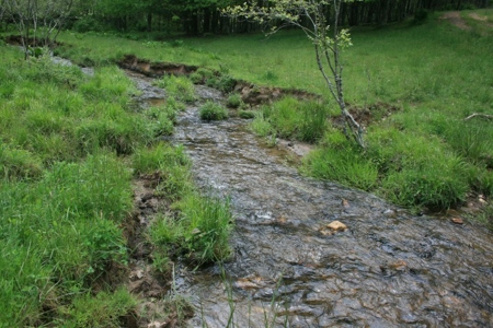 163 Acres Of Land Located In Carroll County, Virginia - image 34
