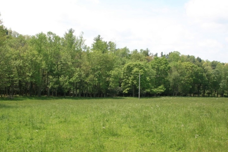 163 Acres Of Land Located In Carroll County, Virginia - image 2