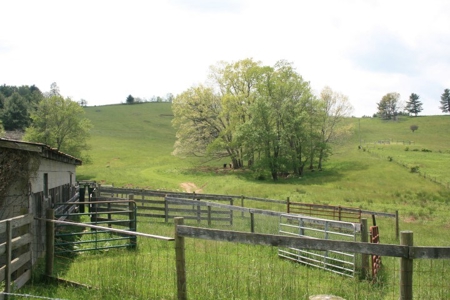 163 Acres Of Land Located In Carroll County, Virginia - image 6