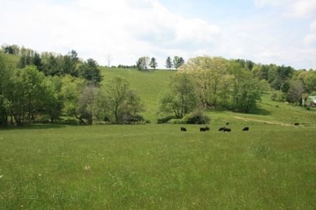 163 Acres Of Land Located In Carroll County, Virginia - image 4