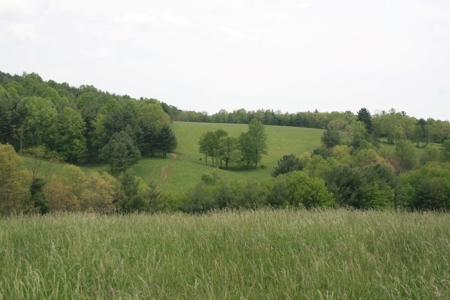 163 Acres Of Land Located In Carroll County, Virginia - image 35