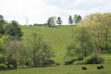 163 Acres Of Land Located In Carroll County, Virginia - image 3