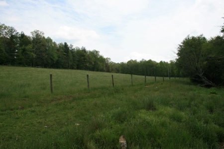 163 Acres Of Land Located In Carroll County, Virginia - image 15