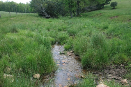 163 Acres Of Land Located In Carroll County, Virginia - image 14