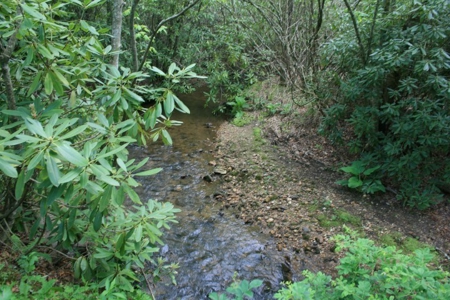 163 Acres Of Land Located In Carroll County, Virginia - image 25