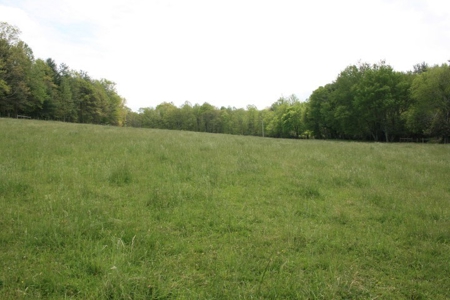 163 Acres Of Land Located In Carroll County, Virginia - image 13