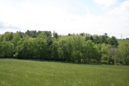 163 Acres Of Land Located In Carroll County, Virginia - image 22