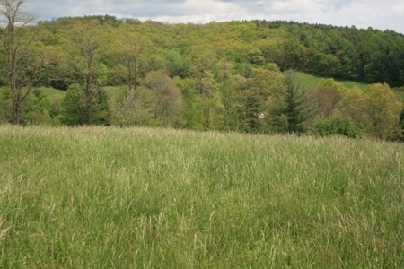 163 Acres Of Land Located In Carroll County, Virginia - image 37