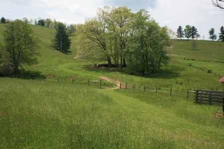 163 Acres Of Land Located In Carroll County, Virginia - image 9