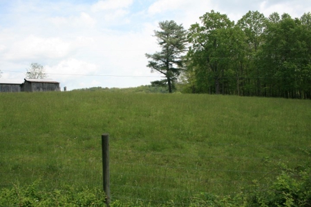 163 Acres Of Land Located In Carroll County, Virginia - image 26