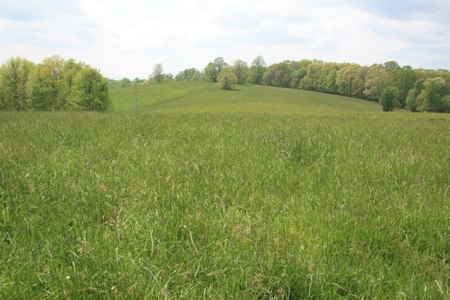 163 Acres Of Land Located In Carroll County, Virginia - image 36