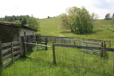 163 Acres Of Land Located In Carroll County, Virginia - image 7