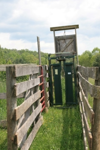 163 Acres Of Land Located In Carroll County, Virginia - image 17