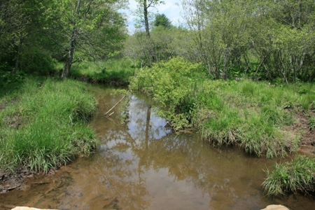 163 Acres Of Land Located In Carroll County, Virginia - image 33