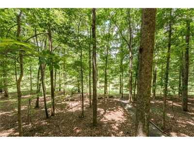 Affordable Home on Bent Tree Golf Course in Jasper, GA - image 32