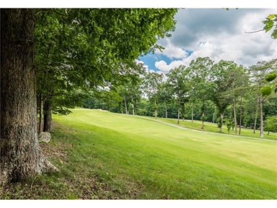Affordable Home on Bent Tree Golf Course in Jasper, GA - image 3