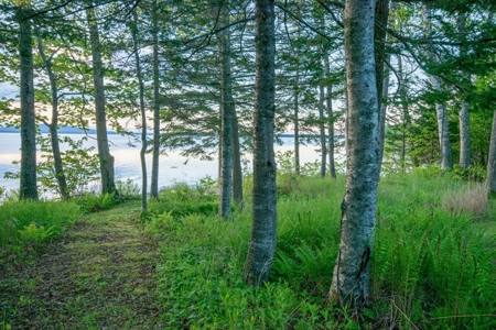 Maine Oceanfront Cottage for Sale in Brooklin - image 2