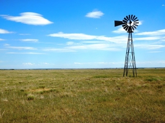 alt=