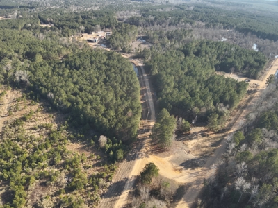 Pine Timberland with Gravel County Road Access For Sale - image 1