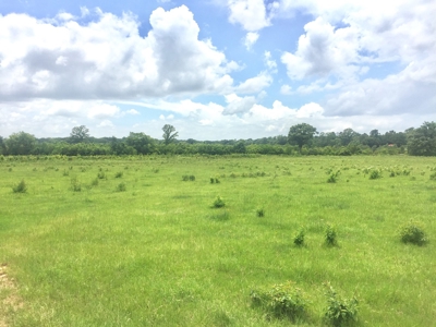 East Texas Hunting & Pasture Land For Sale Near Troup Texas - image 17