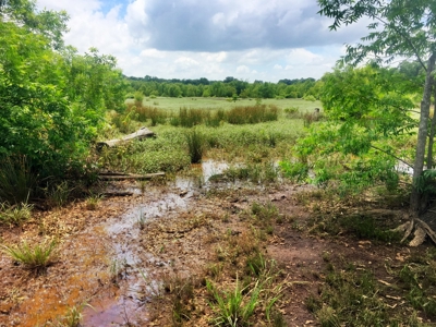 East Texas Hunting & Pasture Land For Sale Near Troup Texas - image 20