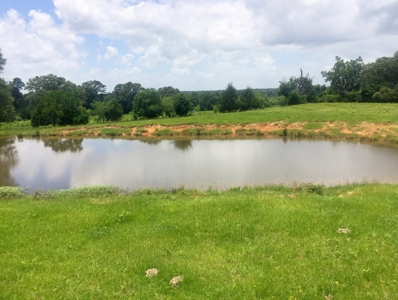 East Texas Hunting & Pasture Land For Sale Near Troup Texas - image 5