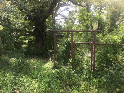 East Texas Hunting & Pasture Land For Sale Near Troup Texas - image 6
