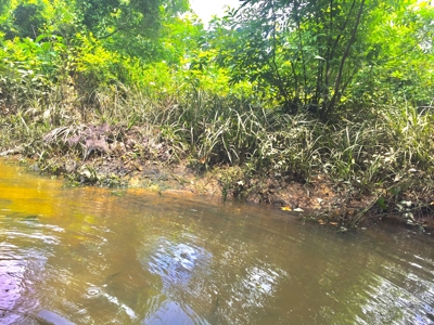 East Texas Hunting & Pasture Land For Sale Near Troup Texas - image 31