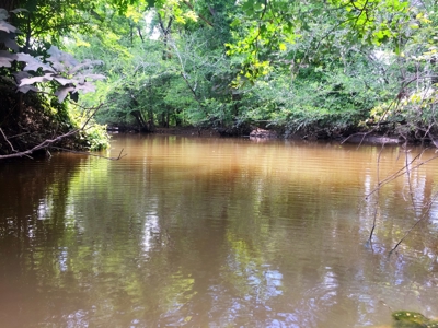 East Texas Hunting & Pasture Land For Sale Near Troup Texas - image 29