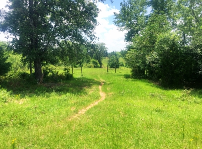 East Texas Hunting & Pasture Land For Sale Near Troup Texas - image 1