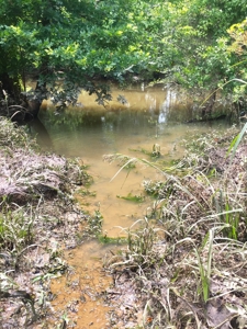 East Texas Hunting & Pasture Land For Sale Near Troup Texas - image 28