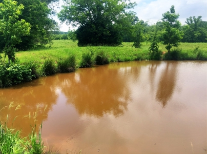 East Texas Hunting & Pasture Land For Sale Near Troup Texas - image 15