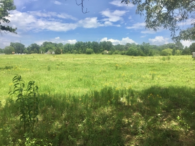 East Texas Hunting & Pasture Land For Sale Near Troup Texas - image 9