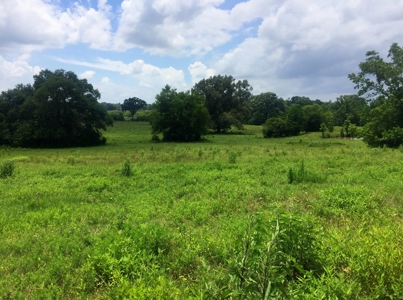 East Texas Hunting & Pasture Land For Sale Near Troup Texas - image 14