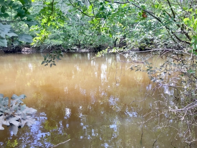 East Texas Hunting & Pasture Land For Sale Near Troup Texas - image 30