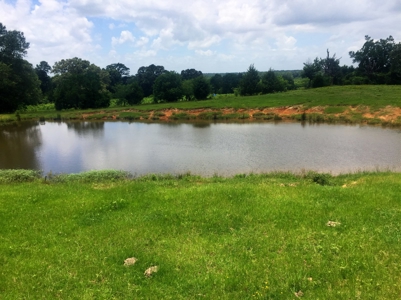 East Texas Hunting & Pasture Land For Sale Near Troup Texas - image 4