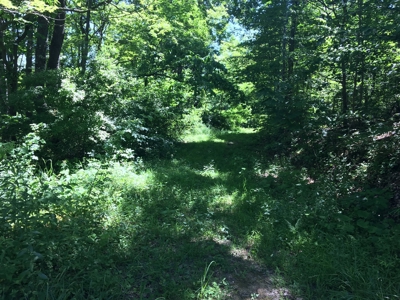 Hunting Land in Southeast Ohio - image 13
