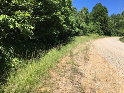 Hunting Land in Southeast Ohio - image 8
