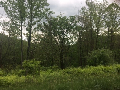 Hunting Land in Southeast Ohio - image 2