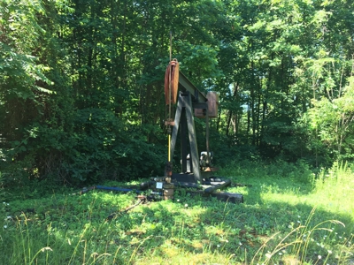 Hunting Land in Southeast Ohio - image 9