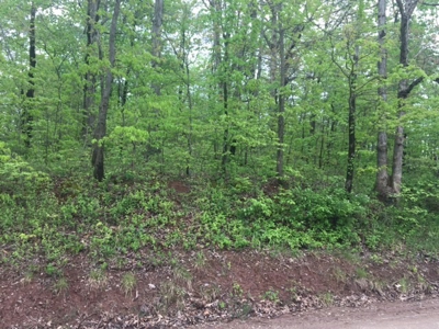 Hunting Land in Southeast Ohio - image 1