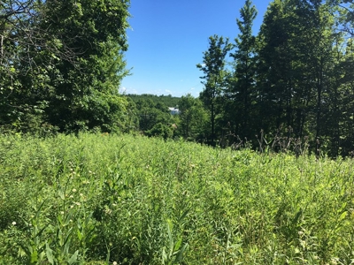 Hunting Land in Southeast Ohio - image 3