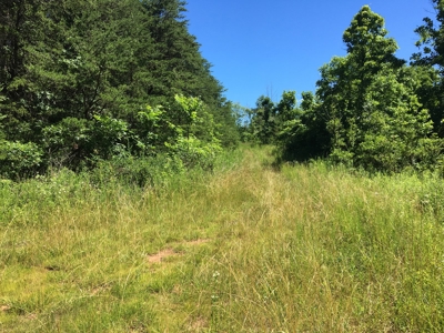 Hunting Land in Southeast Ohio - image 12